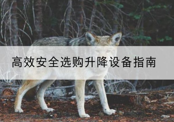 东台升降货梯厂家推荐-*安全选购升降设备指南