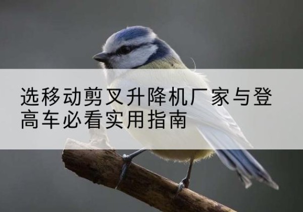东台电动升降机厂家-选移动剪叉升降机厂家与登高车必看实用指南