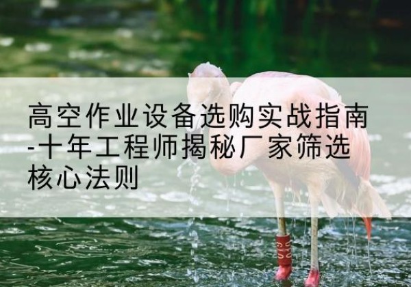 东台剪叉式升降机厂家-高空作业设备选购实战指南-十年工程师揭秘厂家筛选核心法则